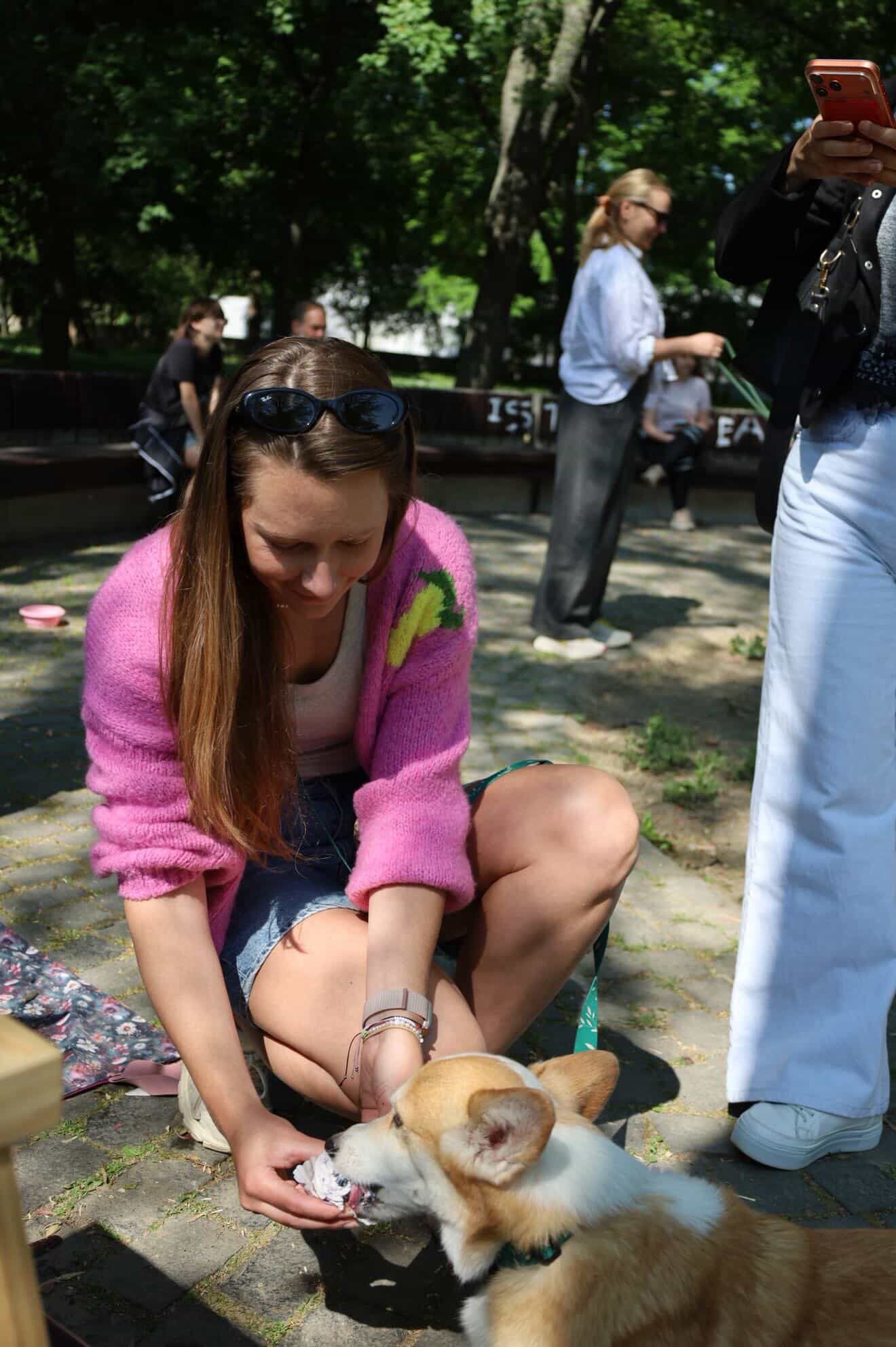 corgi meet up 27